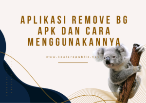 Aplikasi Remove BG Apk dan Cara Menggunakannya